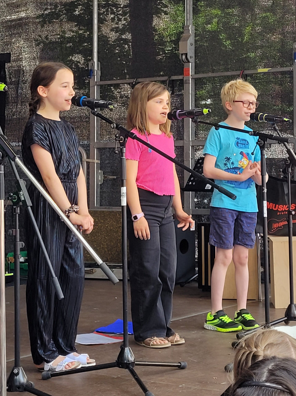 Sommerfestival Sa 2024 00008.jpg